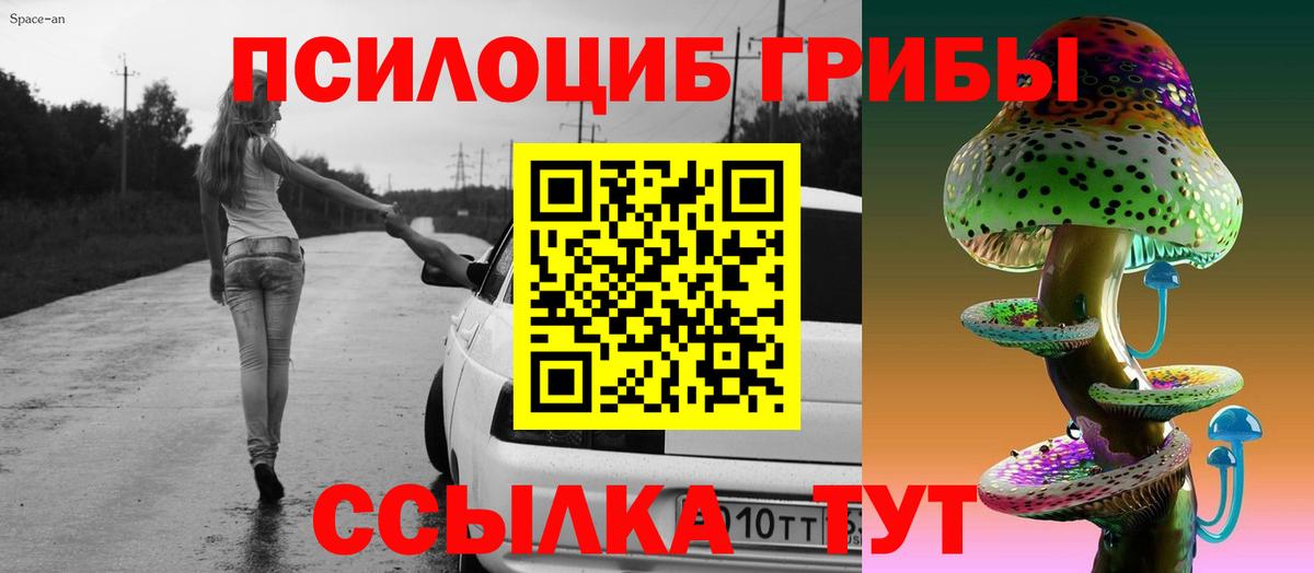 Галлюциногенные грибы прущие грибы Шахты