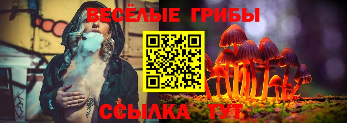 что такое   Вход с VPN  Шахты  Псилоцибиновые грибы MAGIC MUSHROOMS 